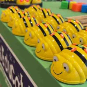 A row of Beebots