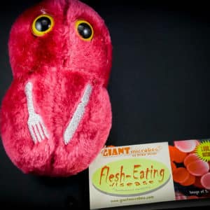 Giant Flesh Eating Bacteria plush toy
