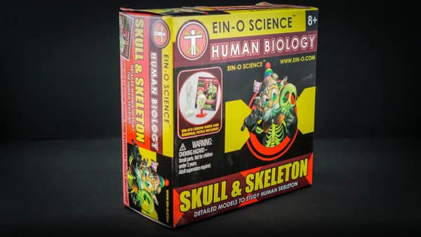 Ein O Science Skull & Skeleton