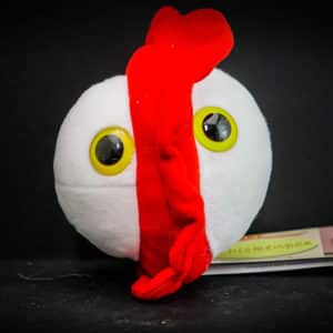 Giant Chicken pox plush toy