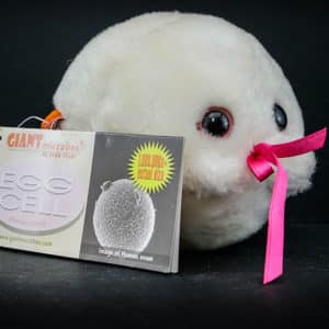 Giant Egg Cell Plush Toy