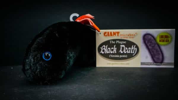 Giant Black Death plush toy!