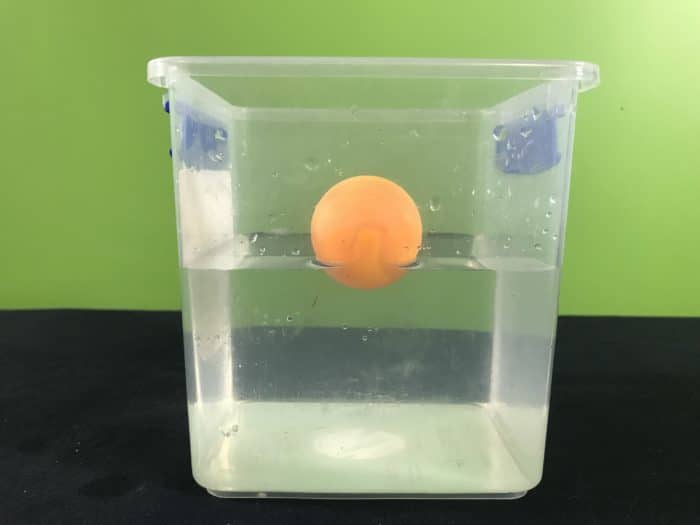 How To Make A Ping Pong Ball Float In The Air - Science ProjectsHow To Make  Science Projects For Kids