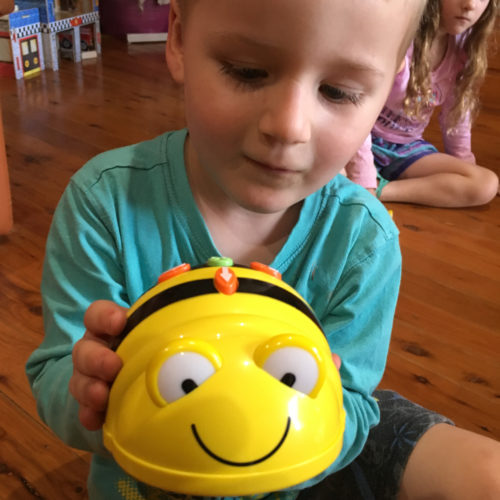 Boy holding a beebot