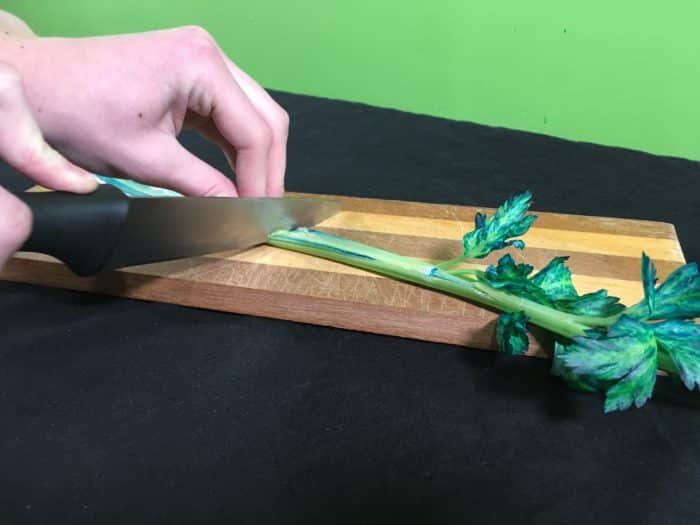 Celery Transpiration Science Experiment - cutting celery stem in half
