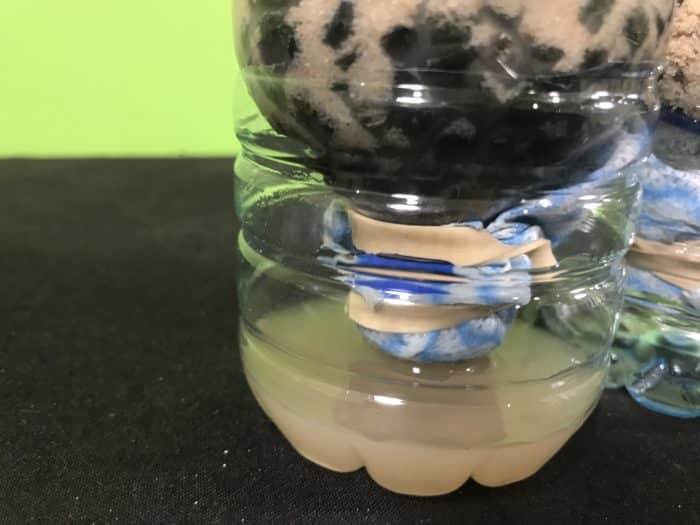 Create a water filter science experiment - water at the end of first filtration