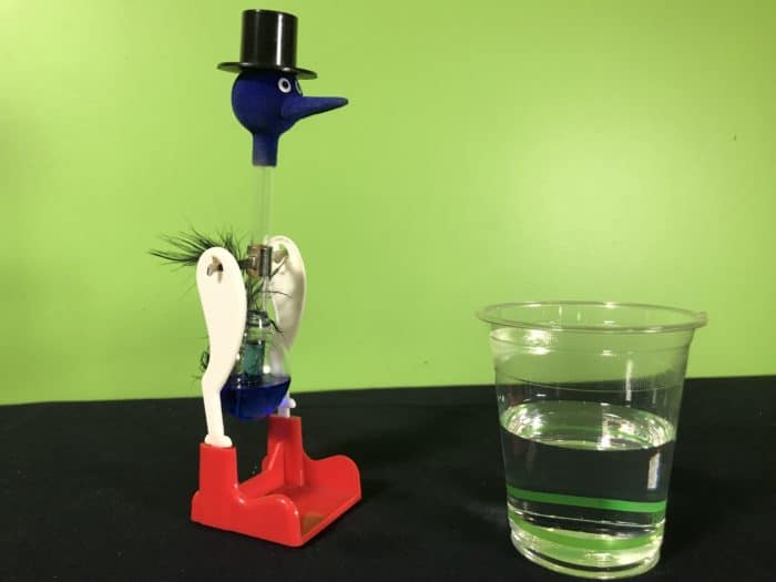 How the Drinking Bird Science Toy Works