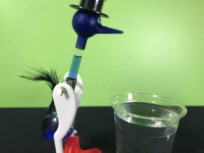 How drinking bird toys work : Fizzics Education