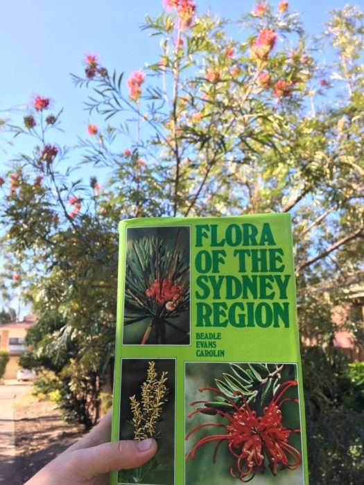 Create a plant collection - Flora of the Sydney region field guide