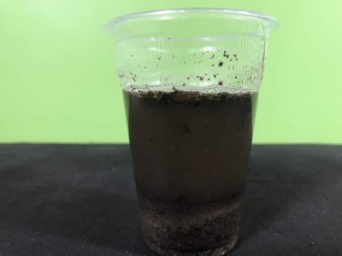 Create a water filter science experiment - dirty water to filter