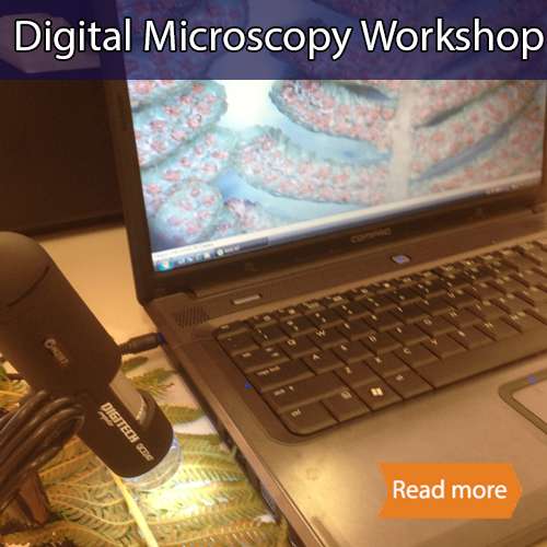 Digital microscopy school science visit tile showing a digital microscope viewing a fern and the image being on a computer screen