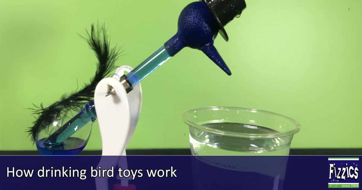 The Thermodynamic Genius of the Classic Drinking Bird Toy