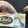 Ebola giant microbe