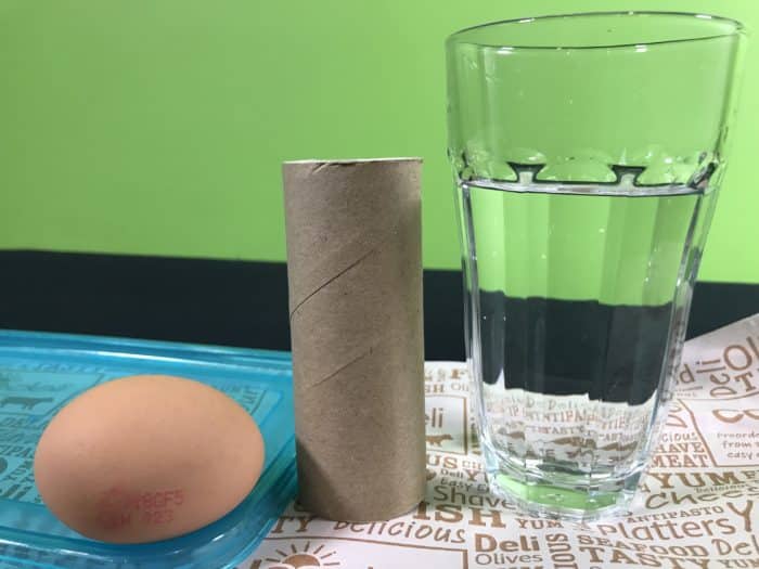 Egg inertia science experiment - materials needed