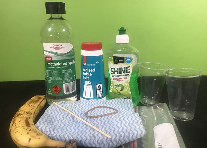 Methylated spirits, a banana, a rubber band, cloth, salt, detergetn, skewer, plastic bag and two cups on a bench with a green background
