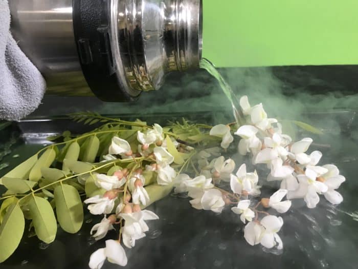 Freezing a flower in liquid nitrogen - pouring liquid nitrogen on the flowers