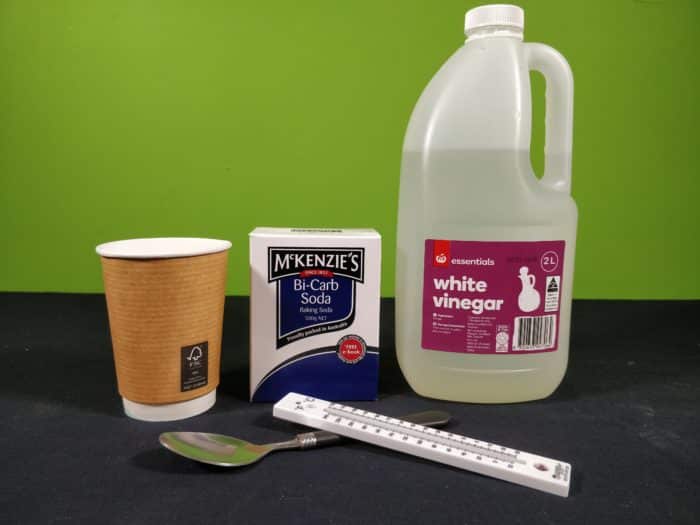 Materials needed for the endothermic reaction experiment showing vinegar, bicarbonate soda, a thermometer, a cup and a spoon