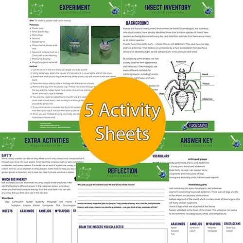 5 student worksheets on creating an insect collection