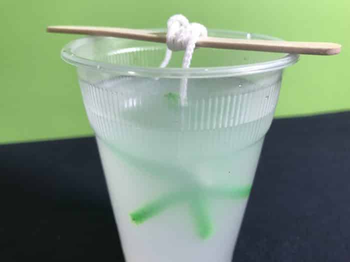 Make a borax snowflake science experiment - pipecleaner star immersed in borax solution
