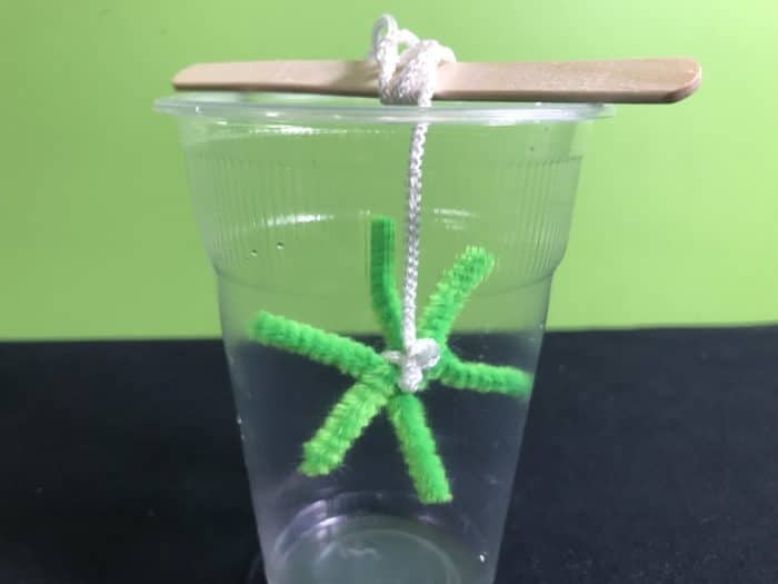 Make a borax snowflake science experiment - position of pipecleaner star in cup
