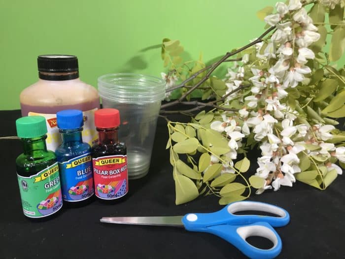 Make coloured petals science experiment - materials needed