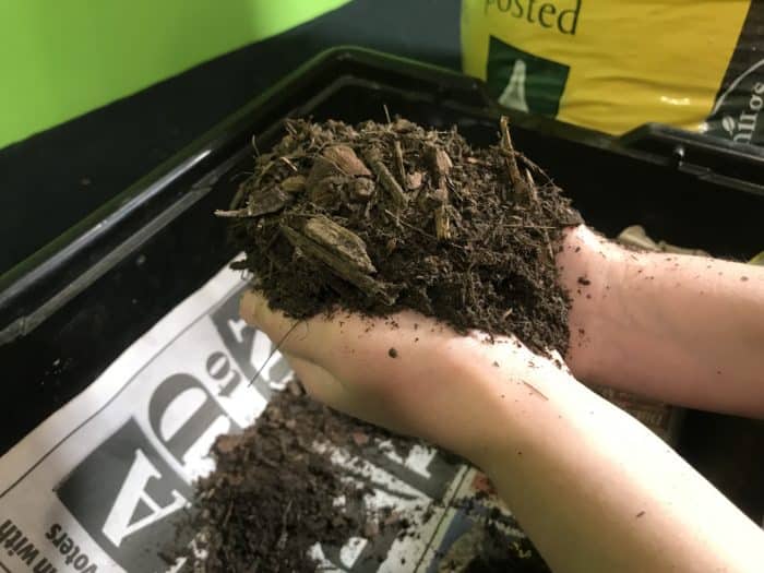 Make your own worm farm science experiment - adding soil to box