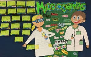 Microbes poster at Mt Keira Demonstration School