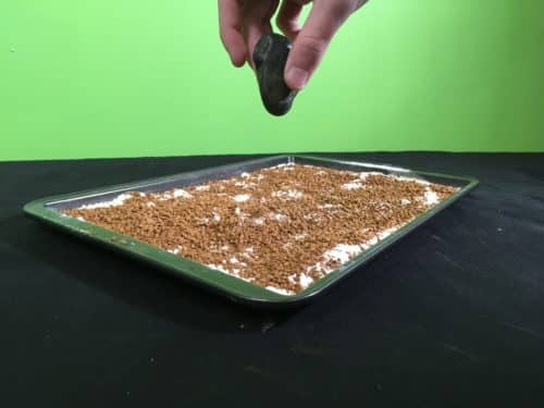 Model Meteorite Strikes Science Experiment - throwing first rock into baking tray(1)
