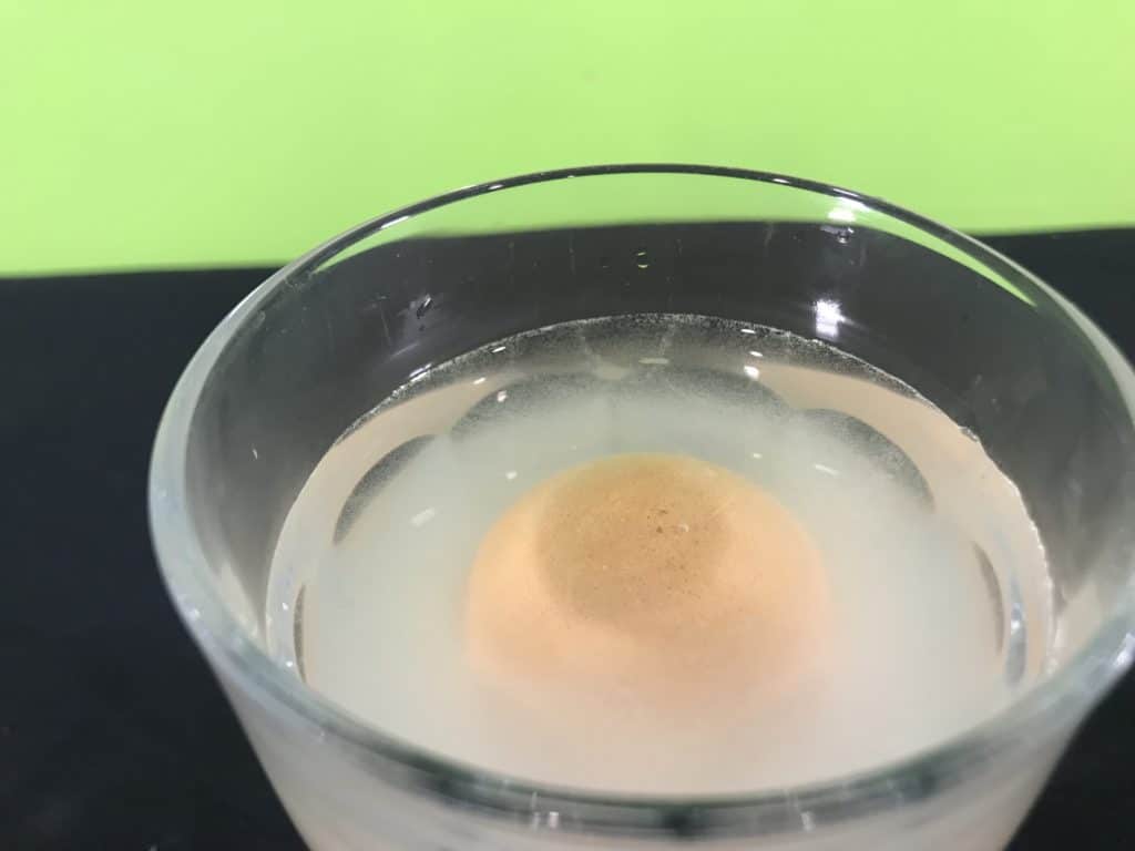 Model the dead sea science experiment - egg floating in water