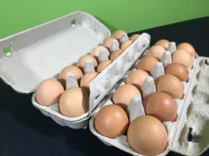 Stand on eggs science experiment - materials needed