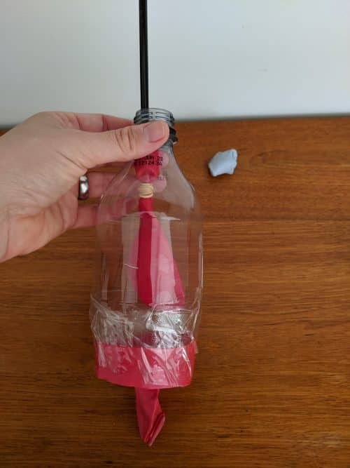 Straw and balloon placed inside the plastic bottle that has a balloon diaphragm attached at the bottom