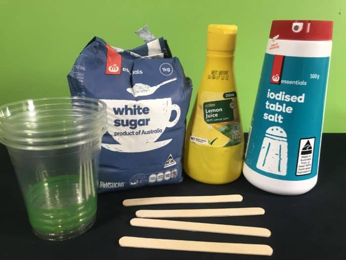 Test your taste buds science experiment - materials needed