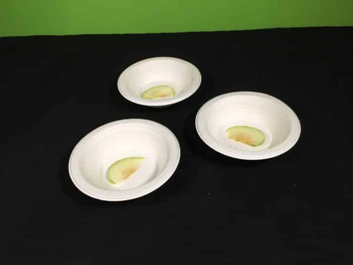 Why Does Fruit Go Brown Science Experiment - putting apple slices into bowls