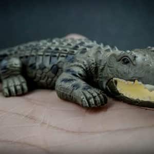 Saltwater Crocodile replica
