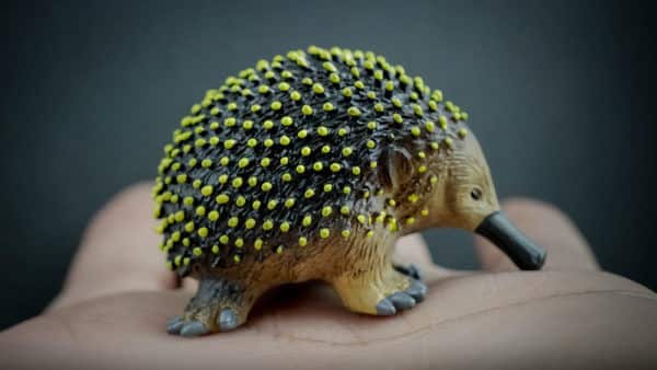 Echidna replica sitting on a hand. Side view