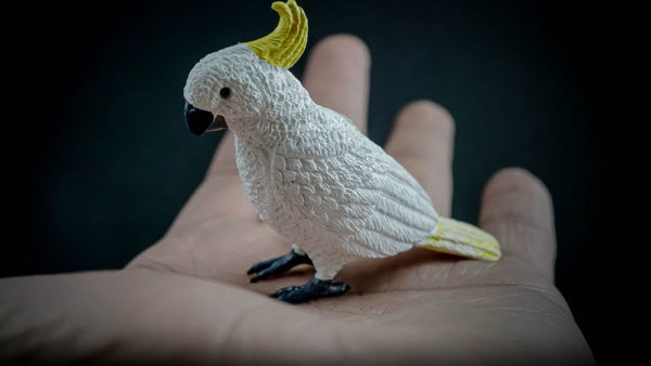 Sulfur-crested Cockatoo replica : Fizzics Education
