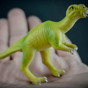 Muttaburrasaurus dinosaur replica