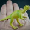 Muttaburrasaurus dinosaur replica_5