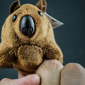 Wombat finger puppet