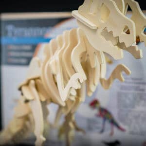 Close up of a built T-Rex woodcraft skeleton