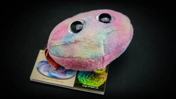 Giant Stem Cell Plush Toy