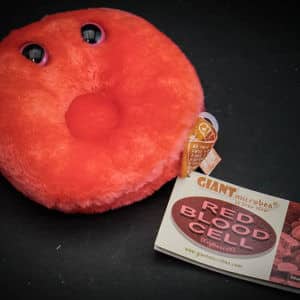 Giant Red Blood Cell Plush Toy