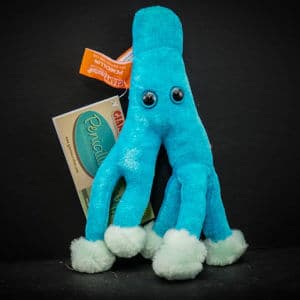 Giant Penicillin Plush Toy