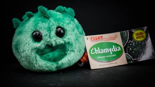 Giant Chlamydia plush toy