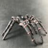 Funnelweb spider replica_1