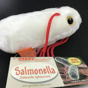 Giant Salmonella Plush Toy