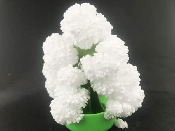 White tree in a green pot