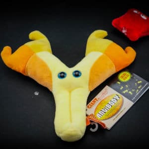 Giant Antibodies Plush Toy