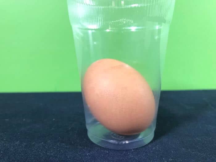 Create a naked egg science experiment - egg in a cup