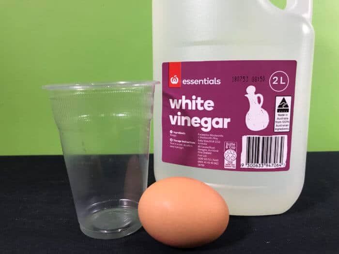 Create a naked egg science experiment - materials needed